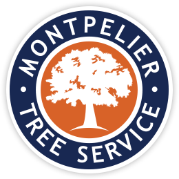 Montpelier Tree Service