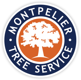 Montpelier Tree Service