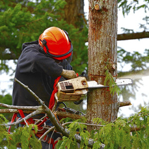 chainsaw